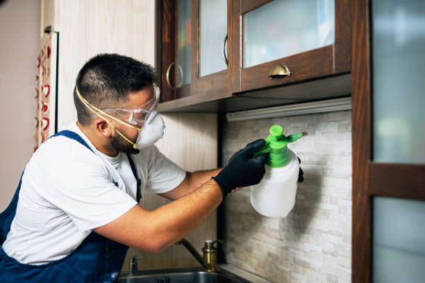 Best Wildlife Control Services  in Girard, OH