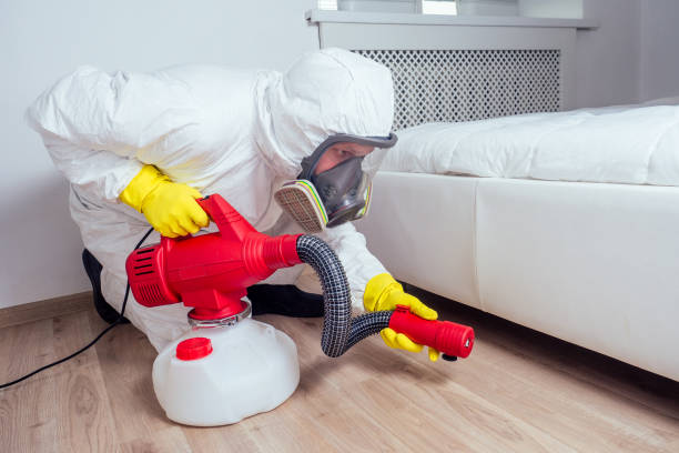 Best Rat Extermination Near Me  in Girard, OH