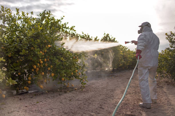 Best Pest Removal Services  in Girard, OH