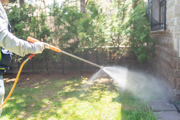 Best Cockroach Control Services  in Girard, OH