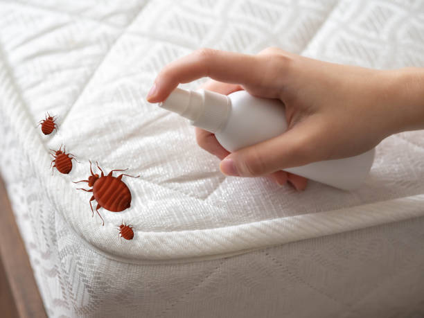 Best Bed Bug Extermination  in Girard, OH