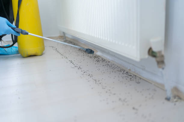 Best Pest Prevention Services  in Girard, OH
